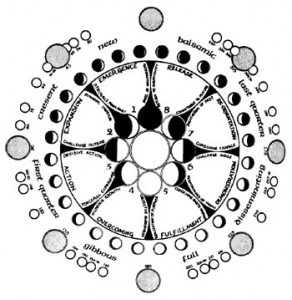 Phases of The Moon-The Lunar Cycle - Healing Stars