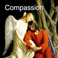 compassion