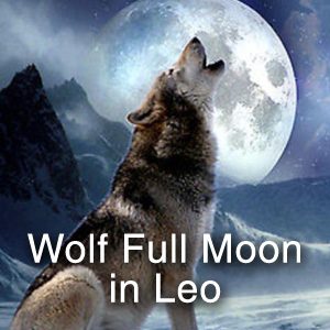 wolf full moon