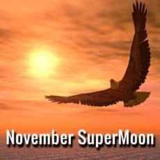 november supermoon