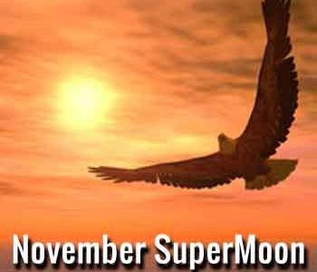 november supermoon